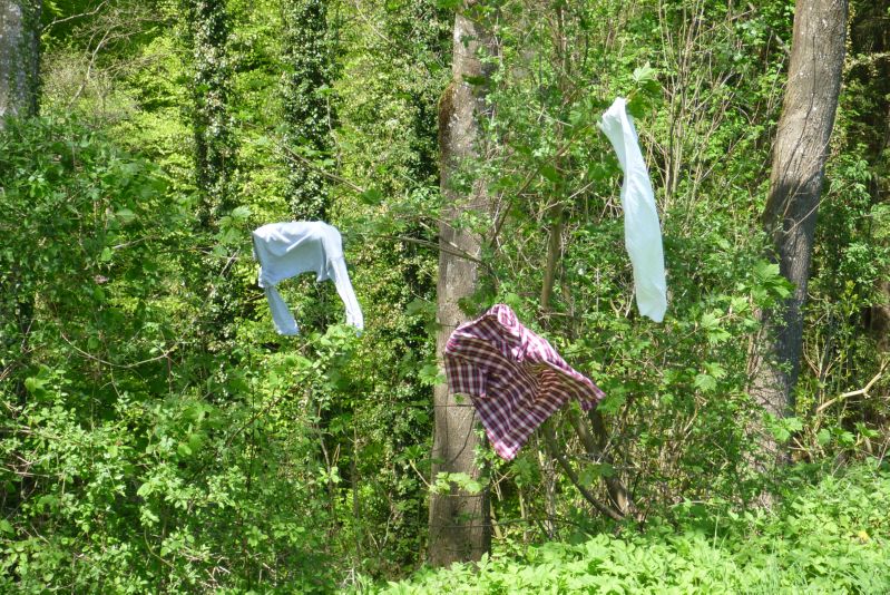1. Mai Wanderung 026
